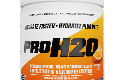 PVL - ProH20 - Recovery - Electrolyte