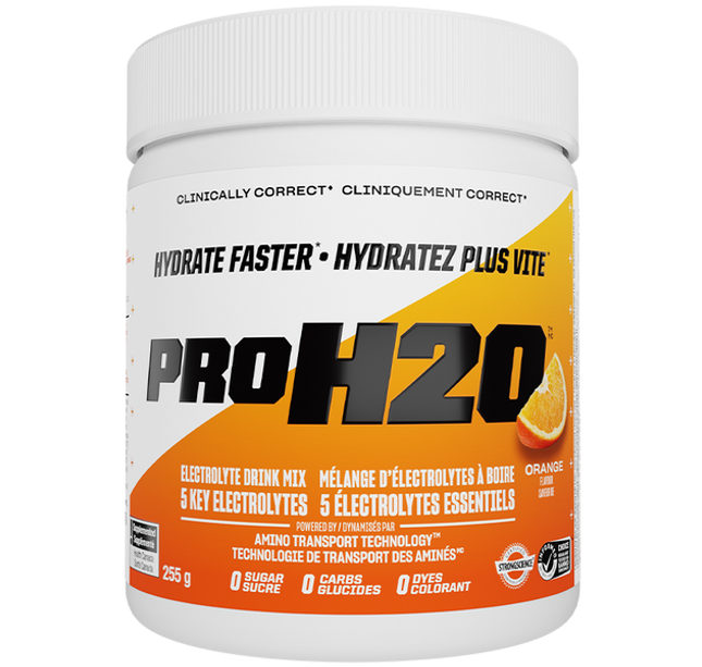 PVL - ProH20 - Recovery - Electrolyte