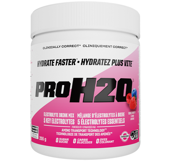 PVL - ProH20 - Recovery - Electrolyte
