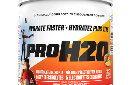 PVL - ProH20 - Recovery - Electrolyte