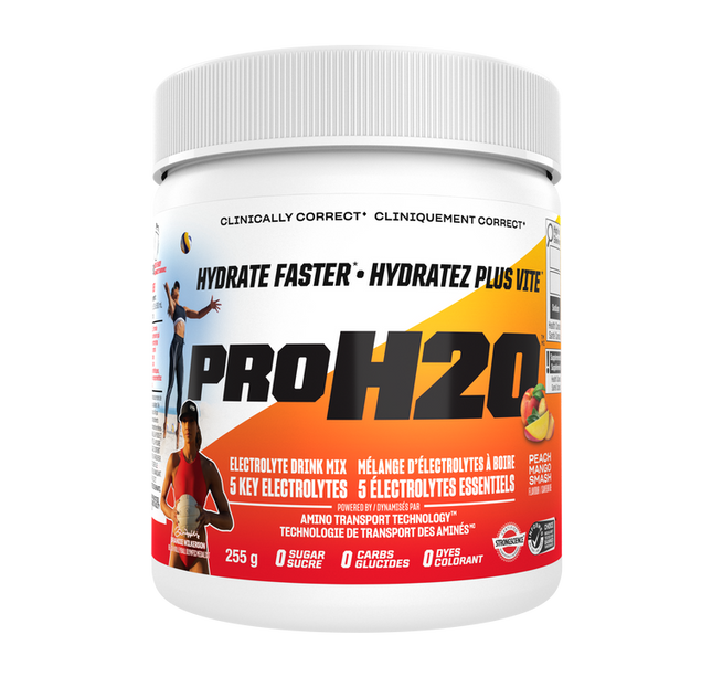 PVL - ProH20 - Recovery - Electrolyte
