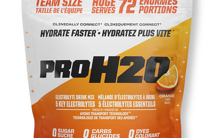 PVL - ProH20 - Recovery - Electrolyte