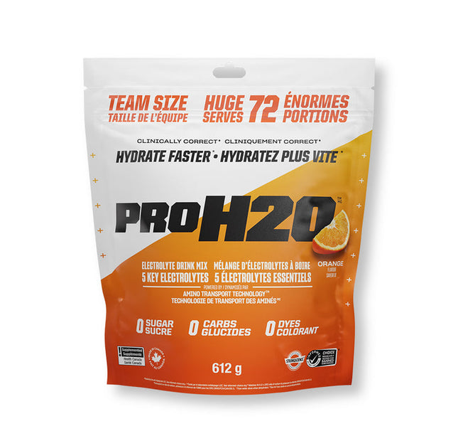 PVL - ProH20 - Recovery - Electrolyte