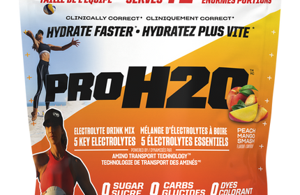 PVL - ProH20 - Recovery - Electrolyte