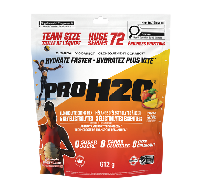 PVL - ProH20 - Recovery - Electrolyte